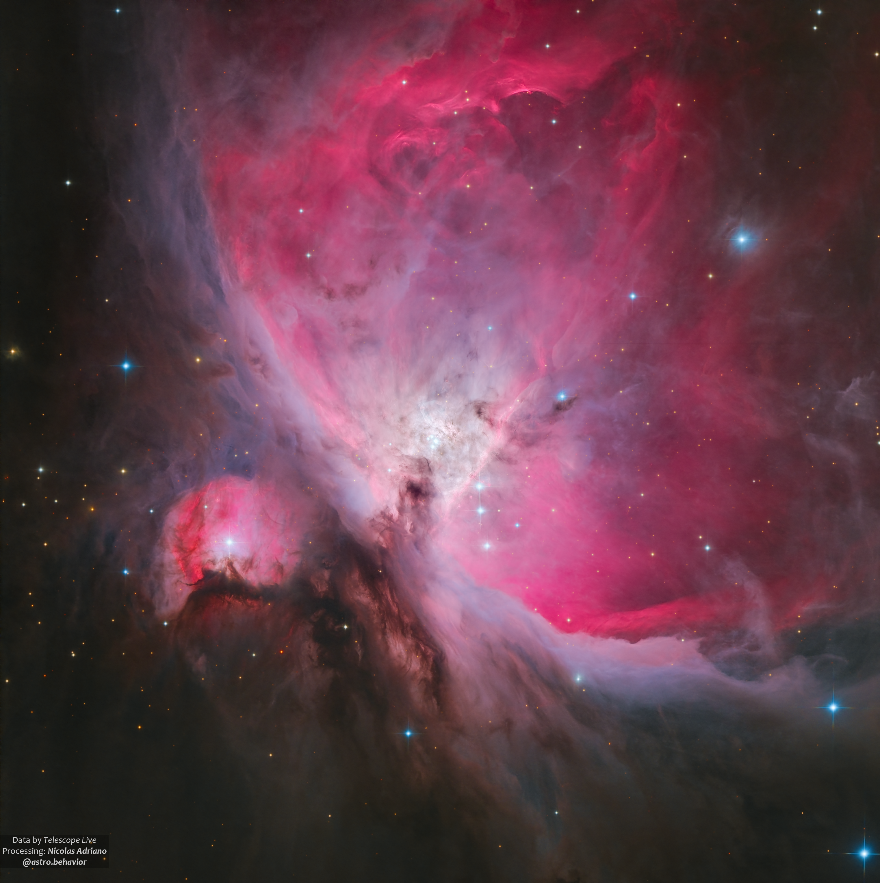 Orion Nebula Close Up | Telescope Live